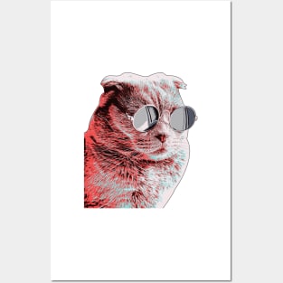 Cool Cat Posters and Art